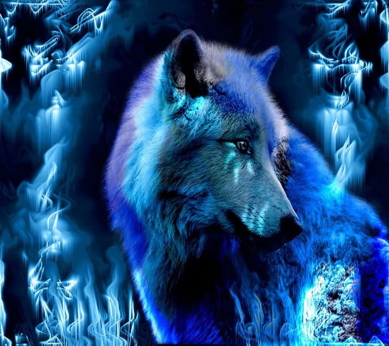 "A beautiful wolf gazes into the night sky."
