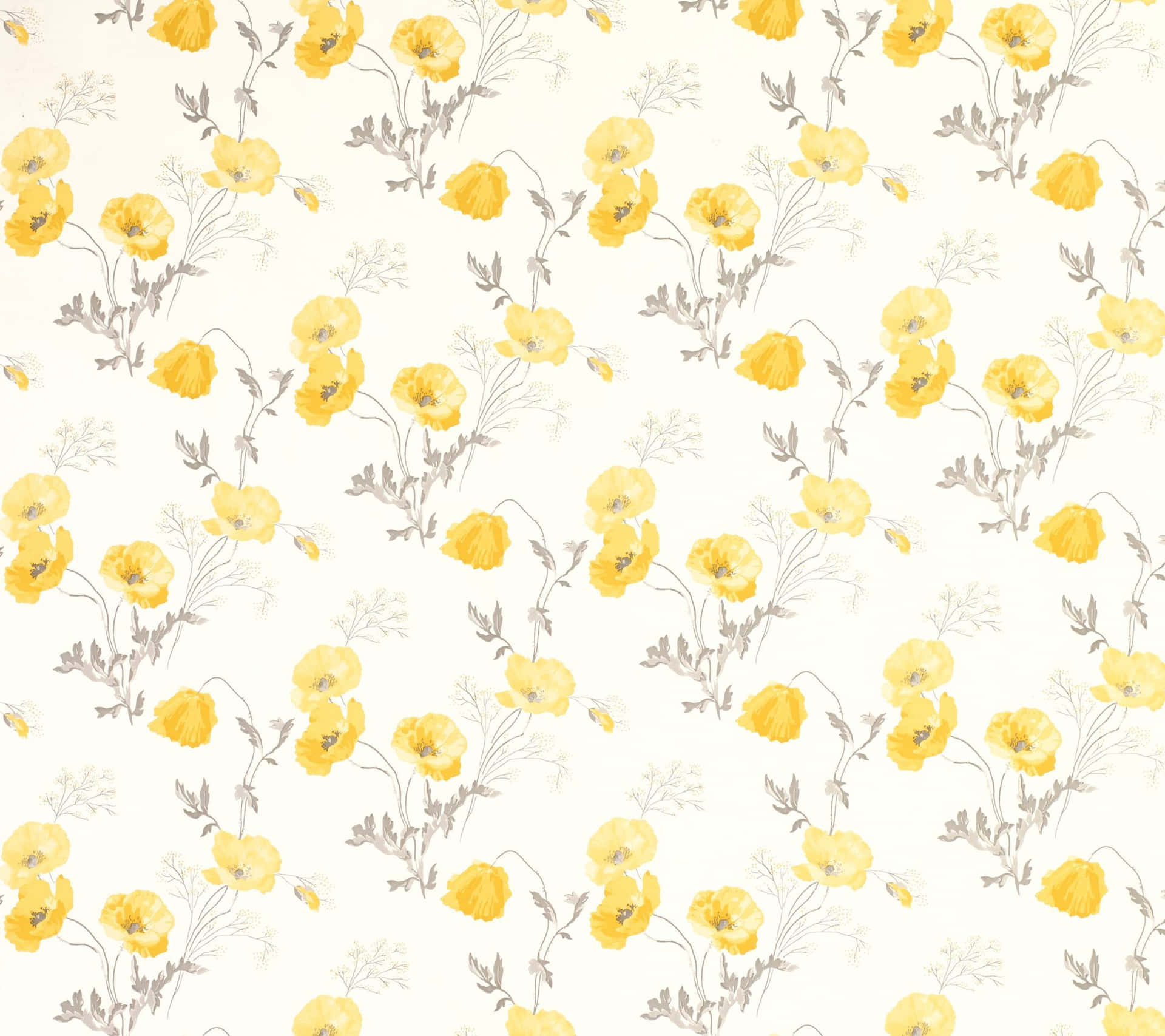 Lyse op dit rum med det smukke gule billede af et blomstrende farverigt mark af margueritter. Wallpaper