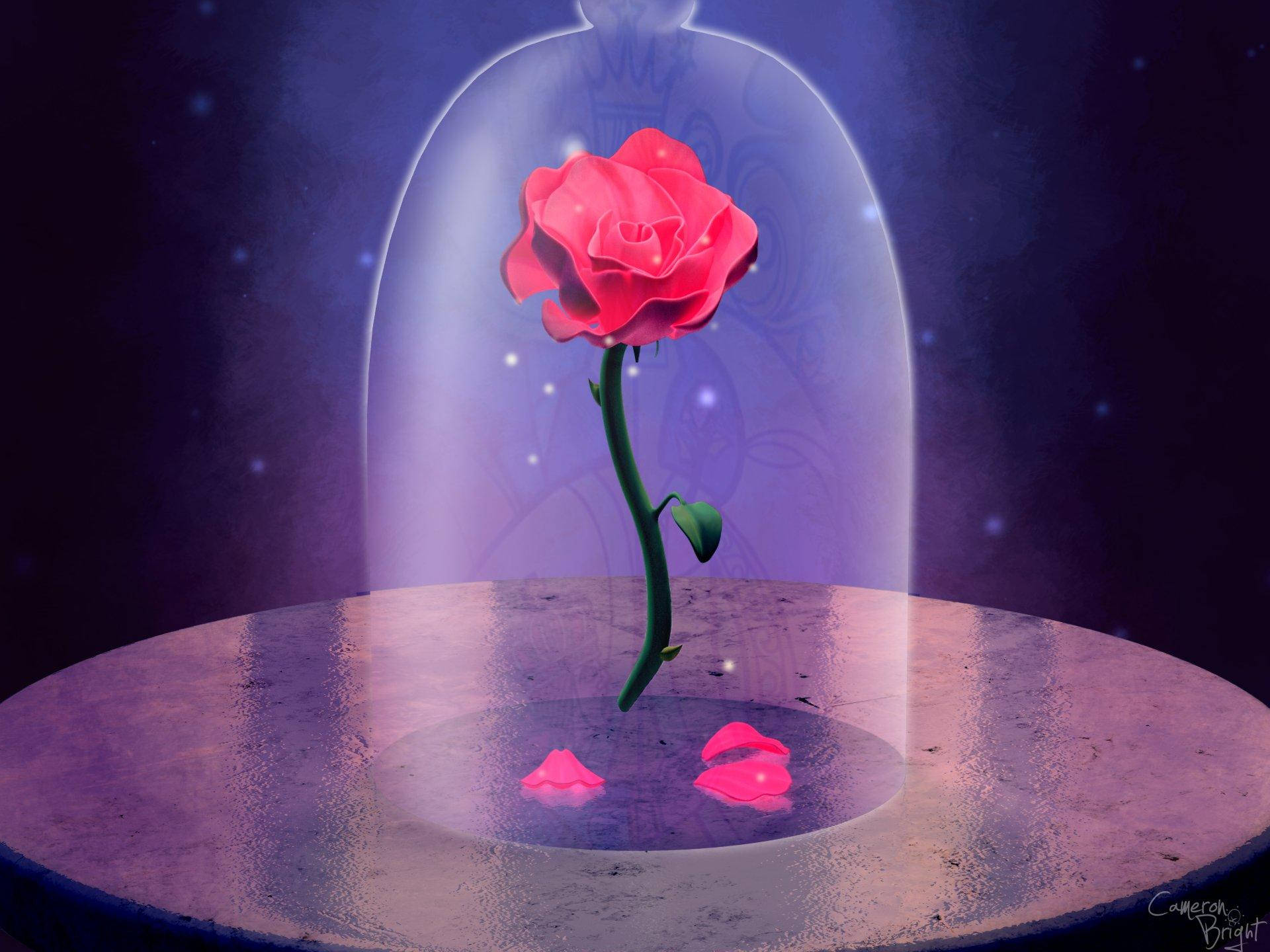 Beauty And The Beast Rose Digital Art Wallpaper