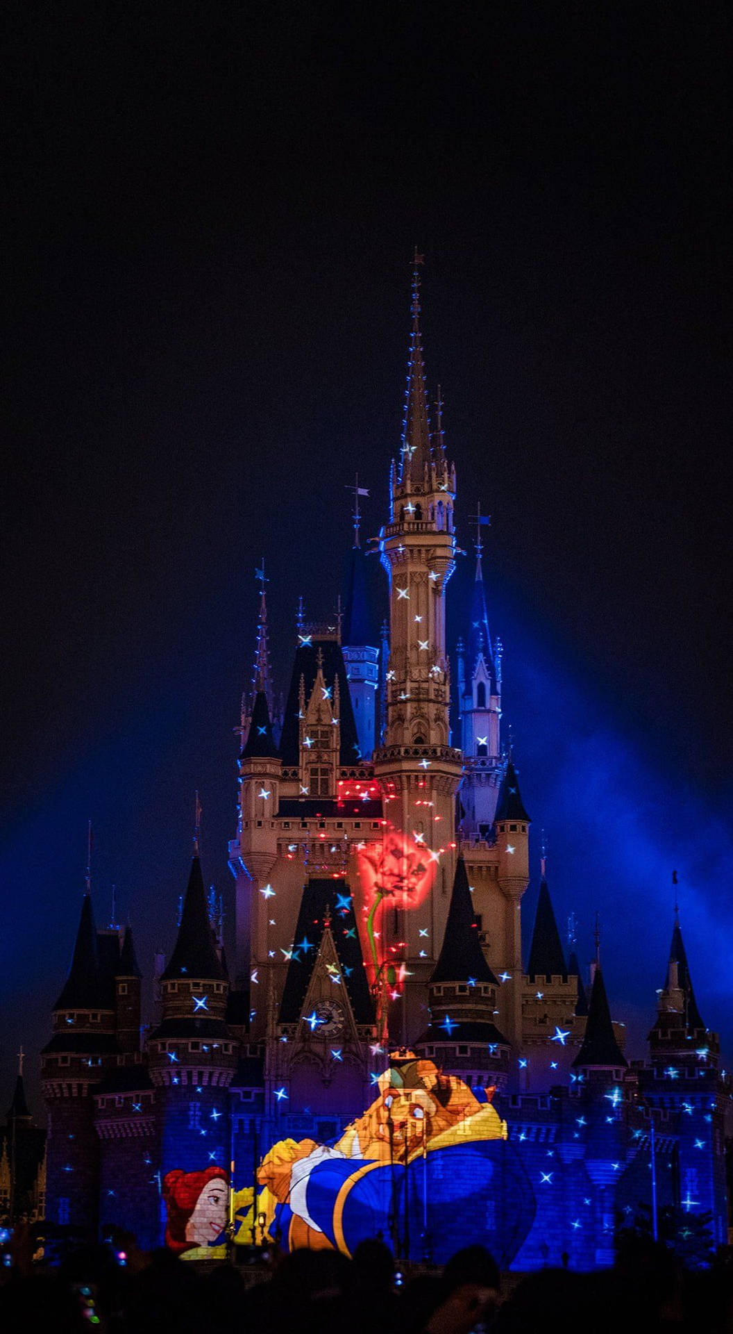 Belezae A Fera Exibem O Castelo Da Disney Na Tela De Fundo. Papel de Parede