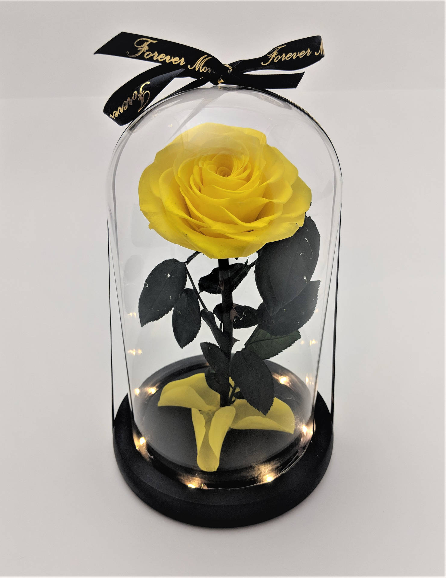 Beauty And The Beast Yellow Black Rose Wallpaper