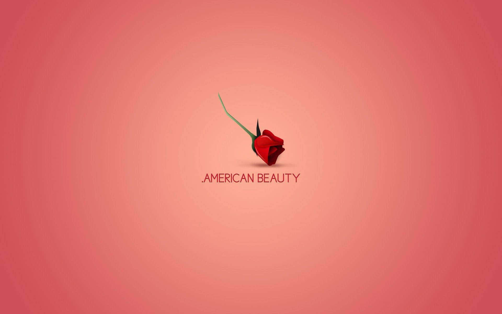 A Rose With The Word American Beauty On It