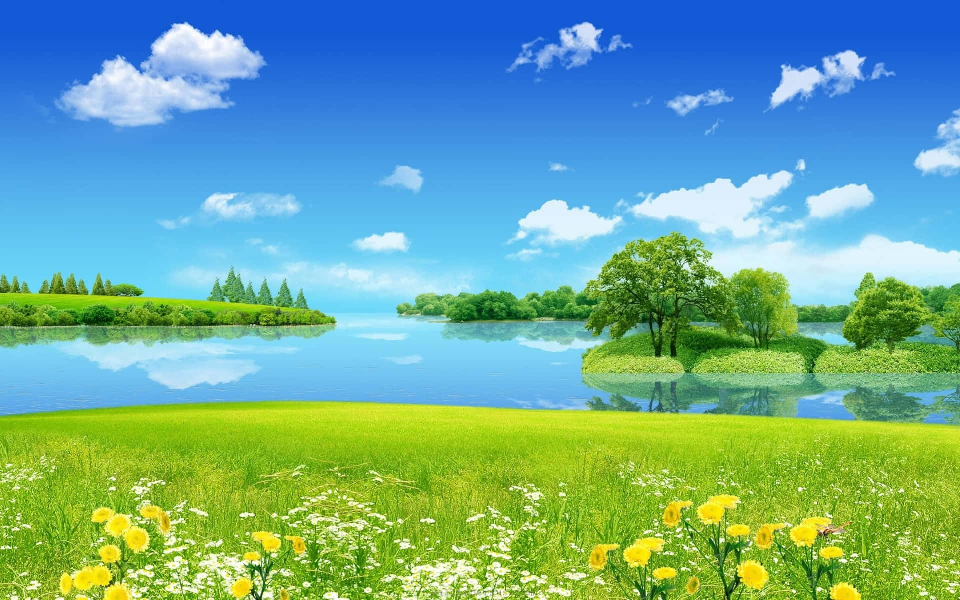 Einegrüne Wiese Mit Blumen Und Einem See