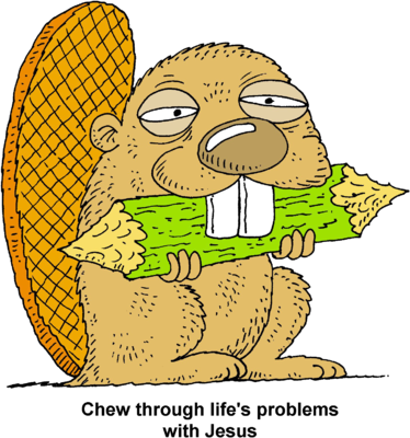 Beaver Chewing Log Cartoon PNG