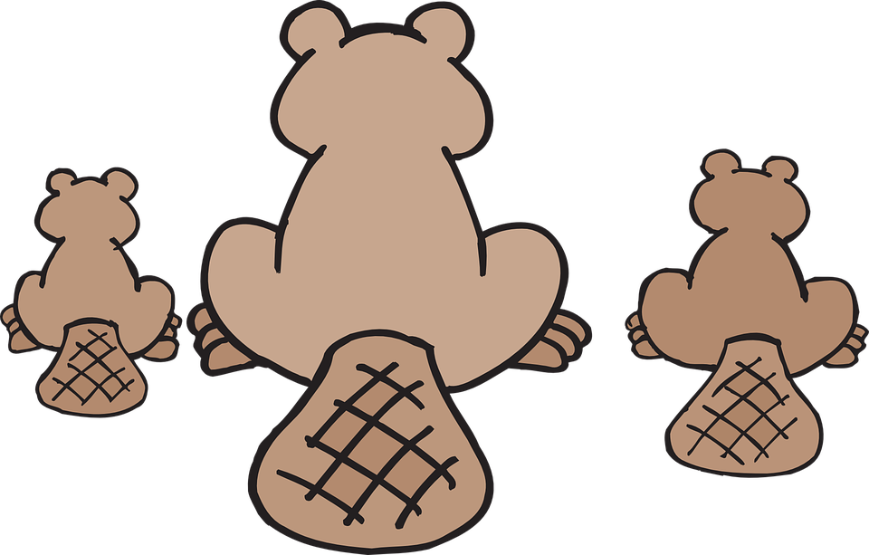Beaver Family Cartoon PNG