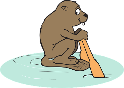 Beaver Ice Fishing Cartoon PNG