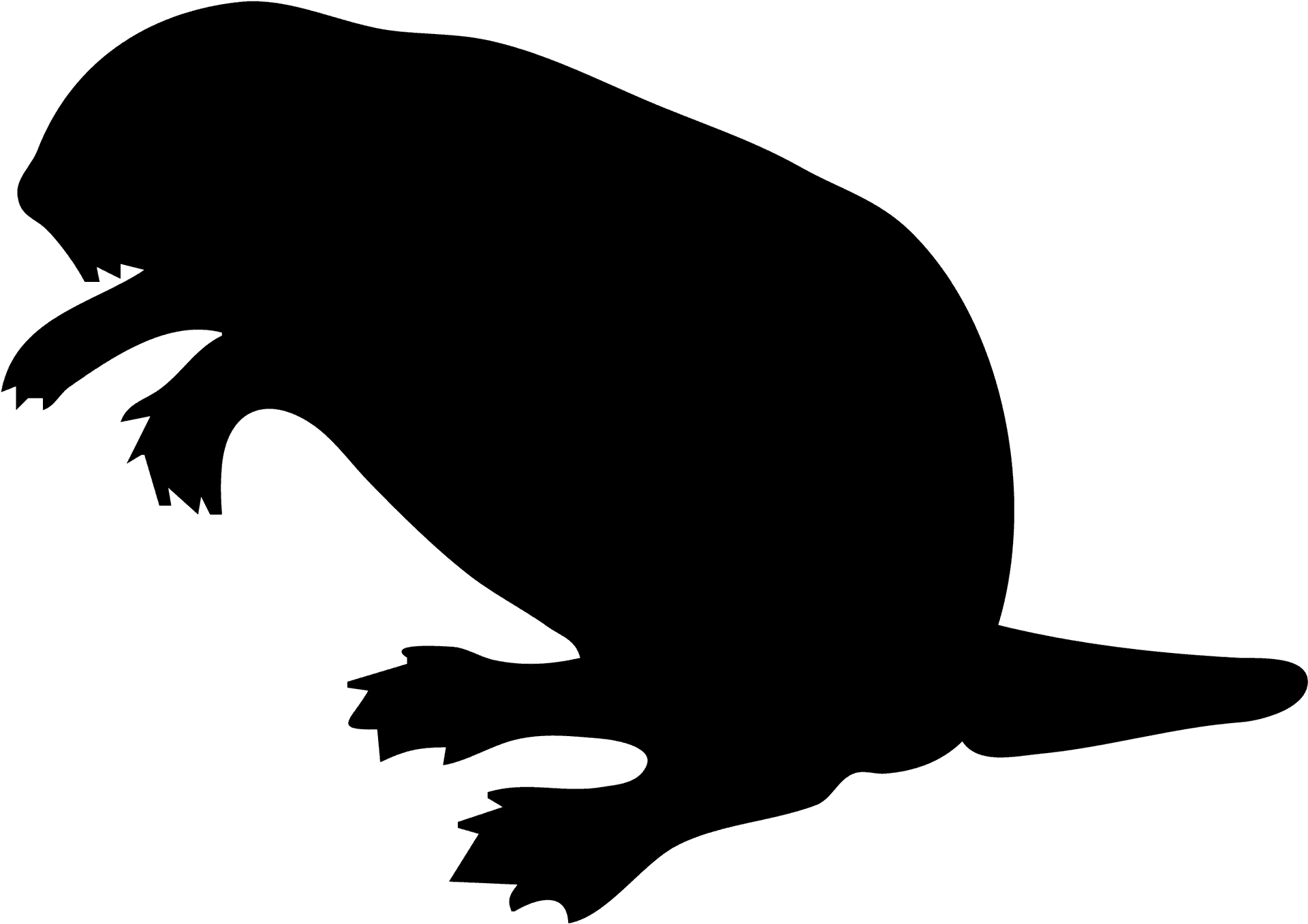 Beaver Silhouette Graphic PNG