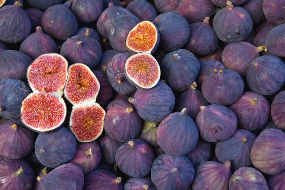 Bed Of Common Figs Wallpaper