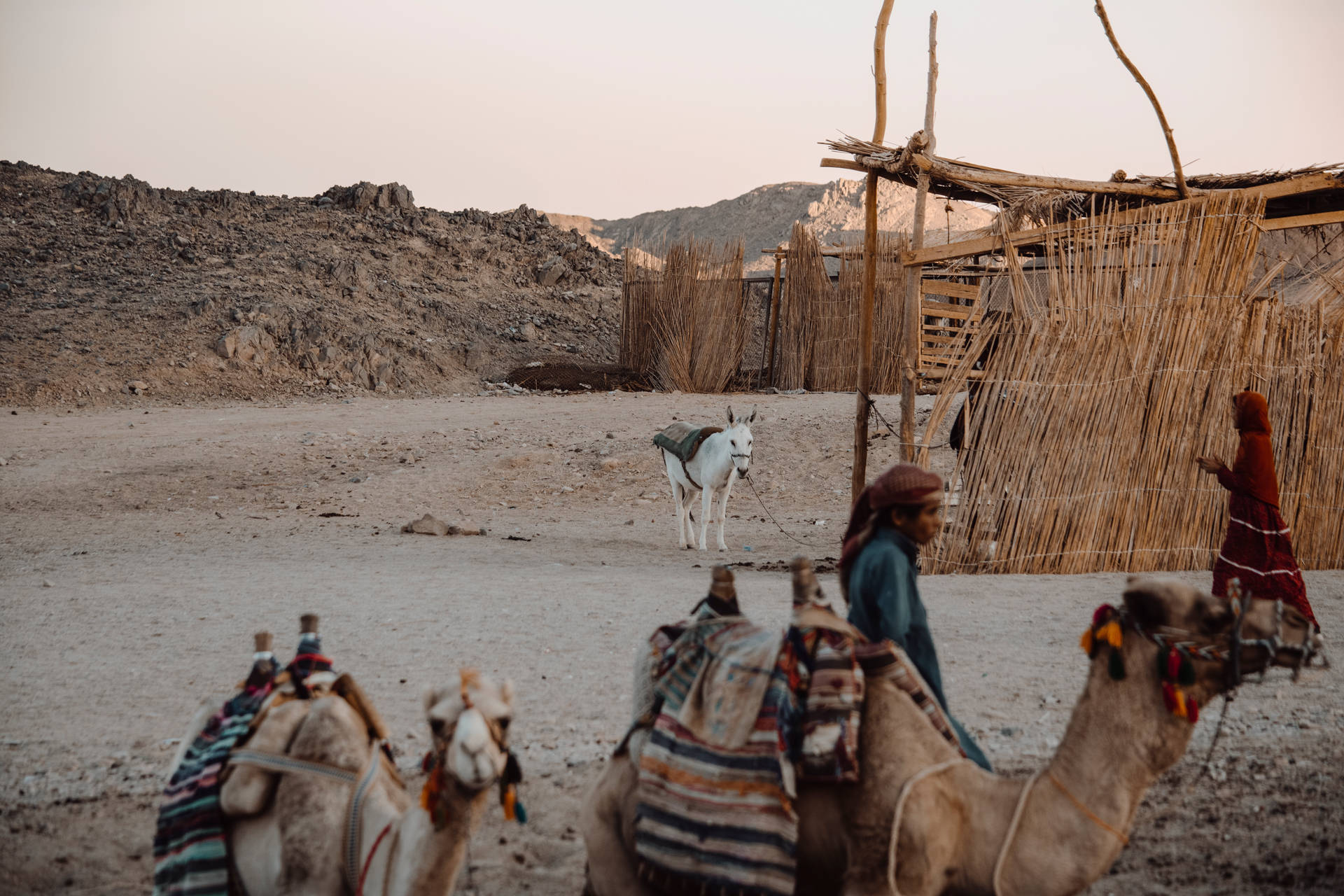 Bedouiner fra Sahara-ørkenen behagelig baggrundsbillede Wallpaper