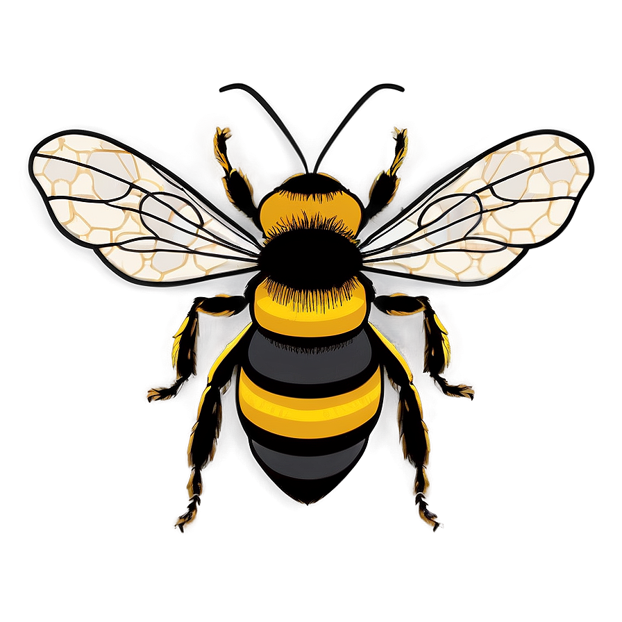 Download Bee Drawing Png 32 | Wallpapers.com