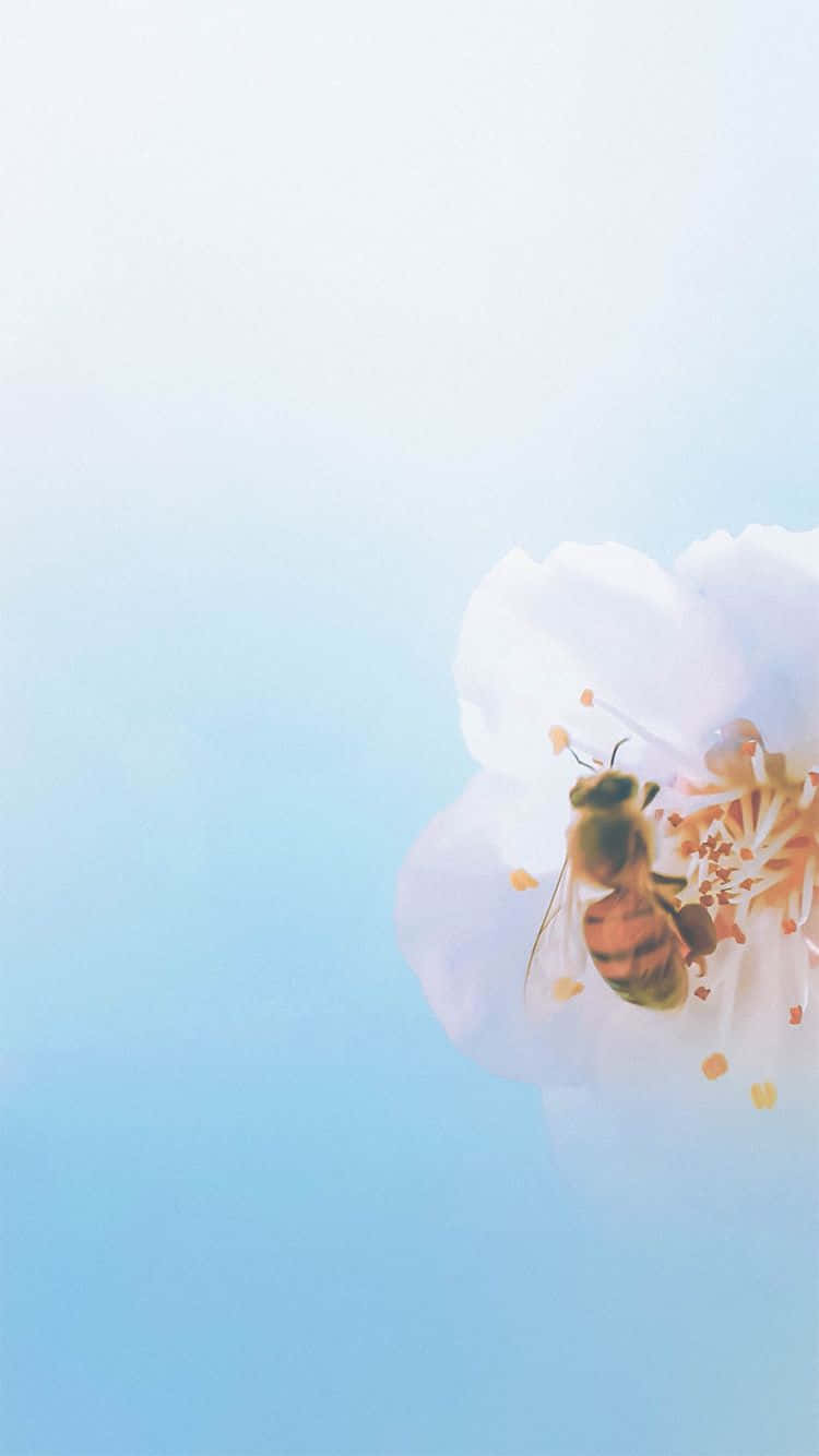 Bee Iphone Bright Wallpaper