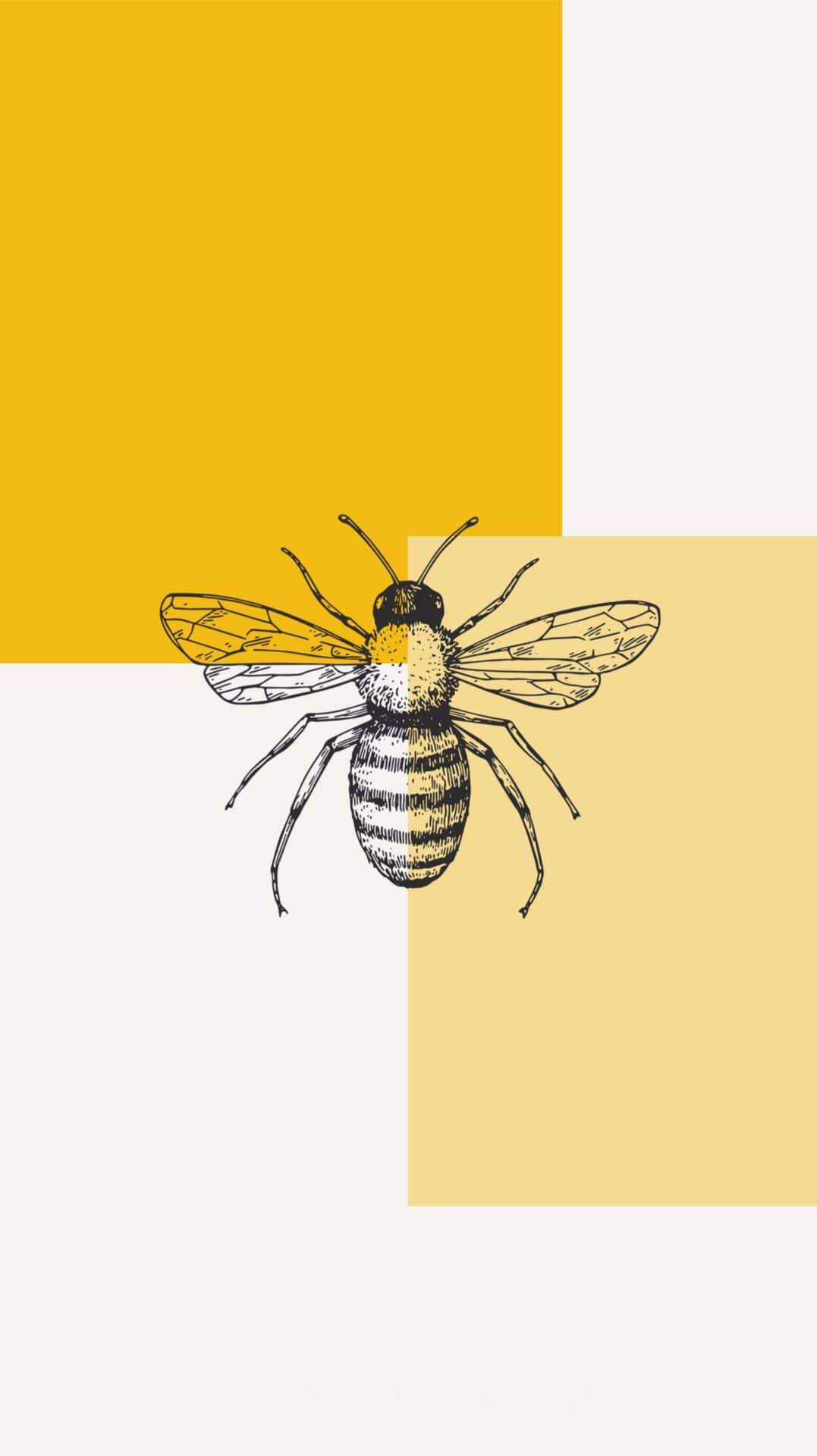 Caption: Buzzing Beauty on Screen - Bee iPhone Wallpaper Wallpaper