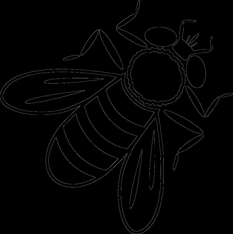 Bee Line Art Illustration PNG
