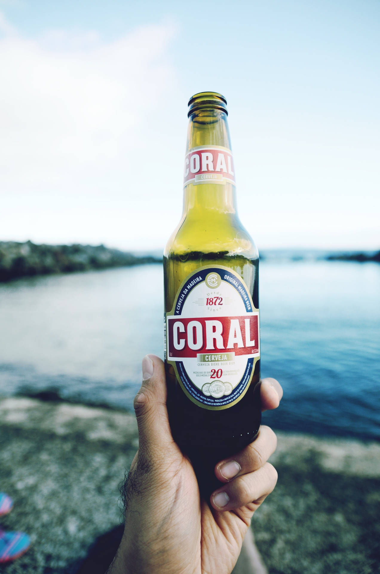 Garrafade Cerveja Coral Pure Malt Beer. Papel de Parede