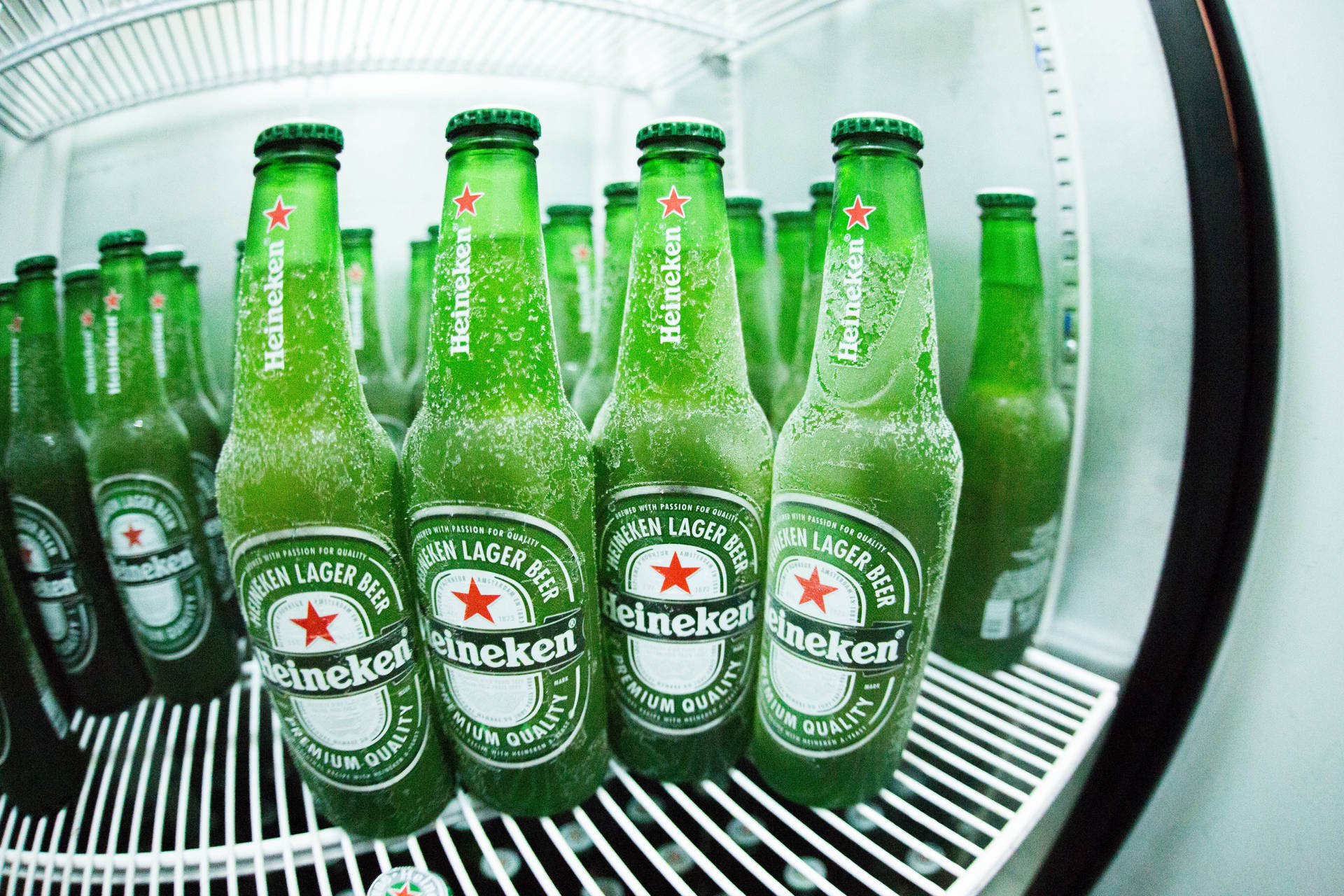 Beer Bottle Frozen Heinekens Wallpaper