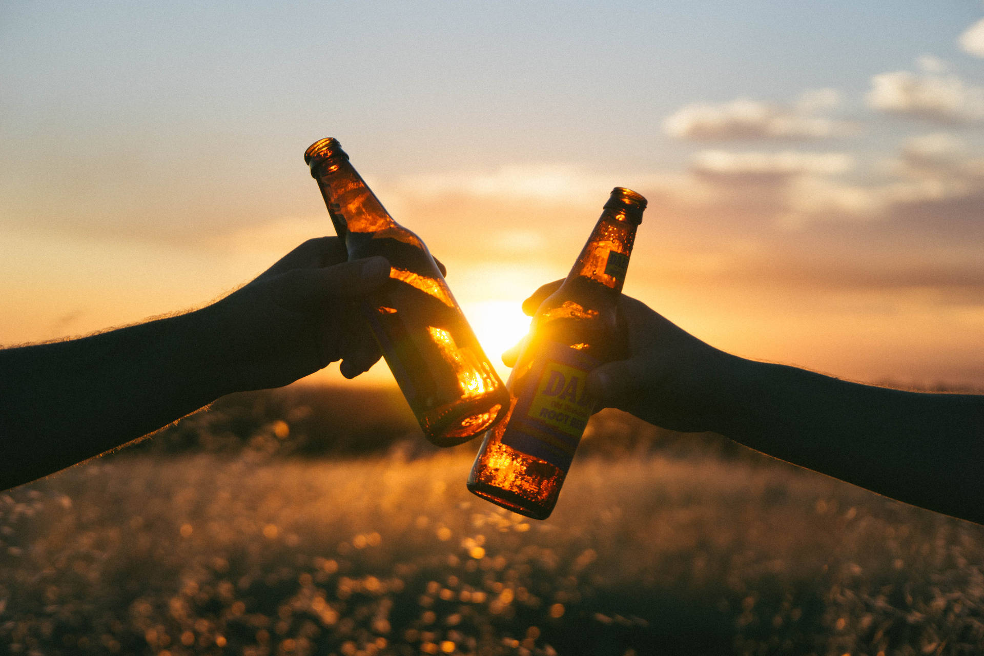 Beer Bottles At Sunset