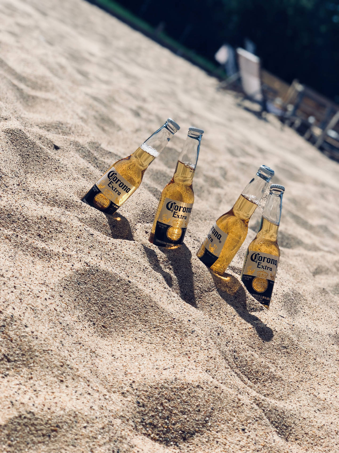 Beer Bottles In Sand