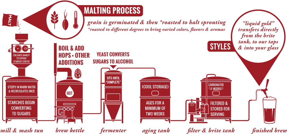 Beer Brewing Process Infographic PNG