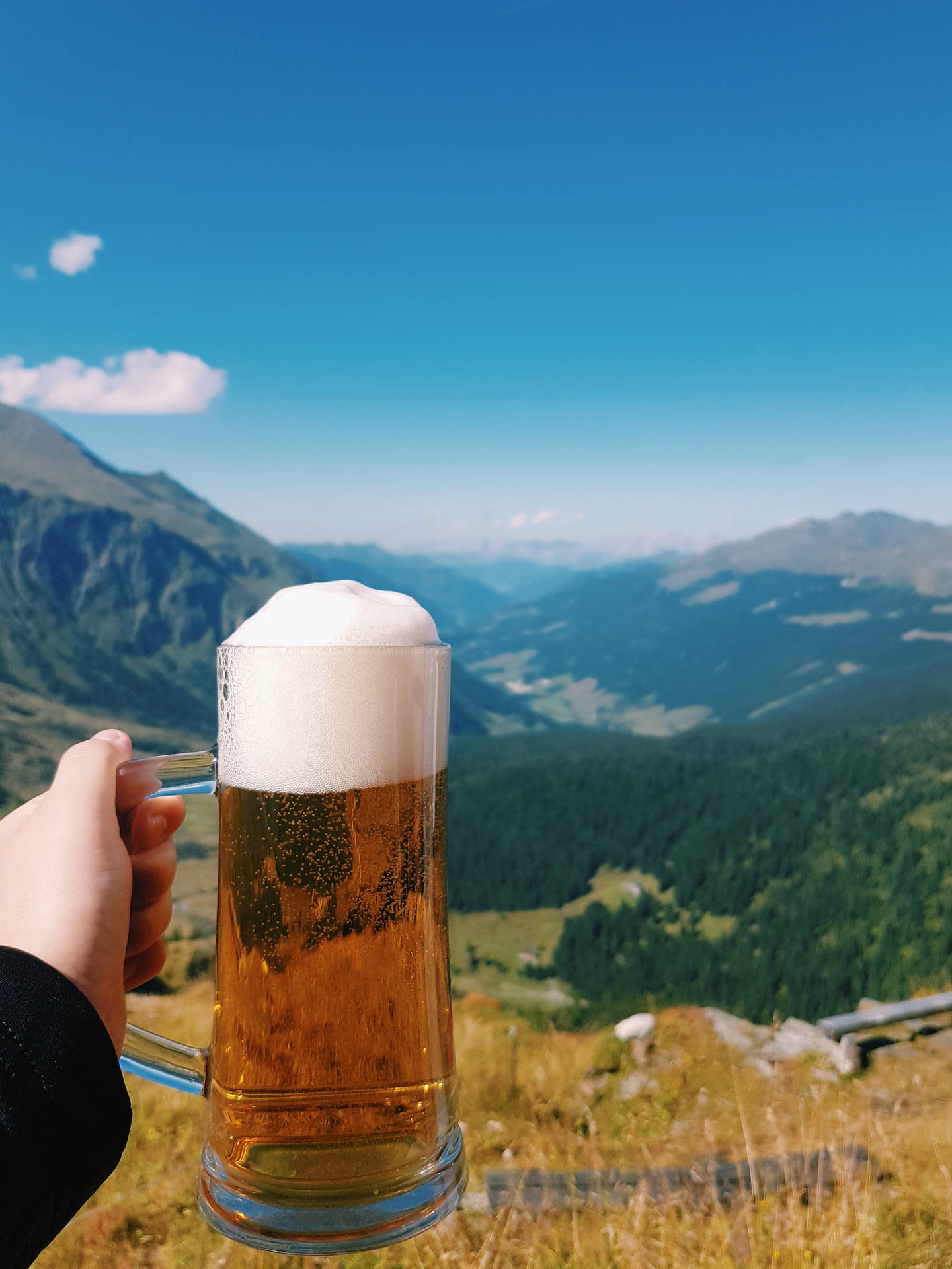 Beer In The Mountains