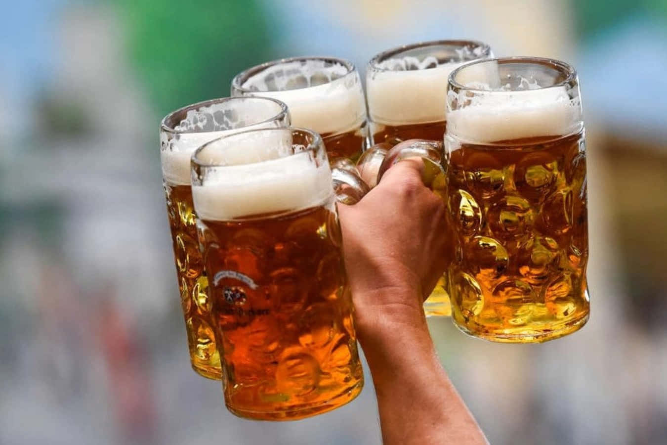 Erhebedein Glas Auf Die Freuden Des Lebens Mit Bier