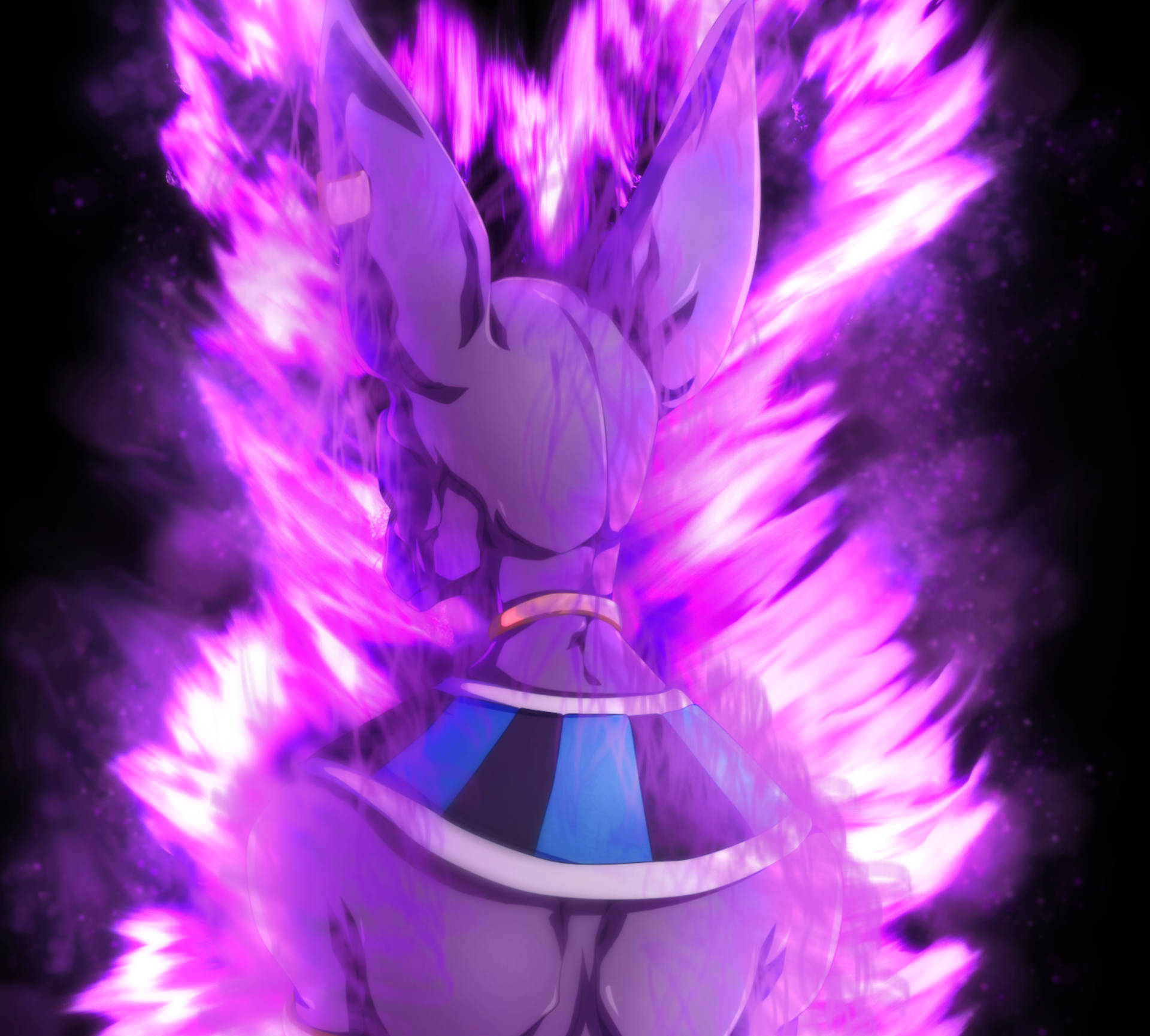 Beerus From The Back Wallpaper