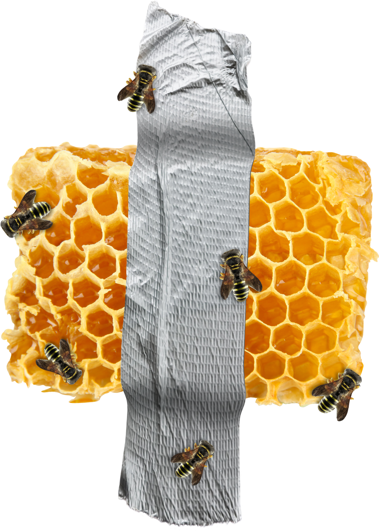Beeson Honeycombwith Duct Tape PNG