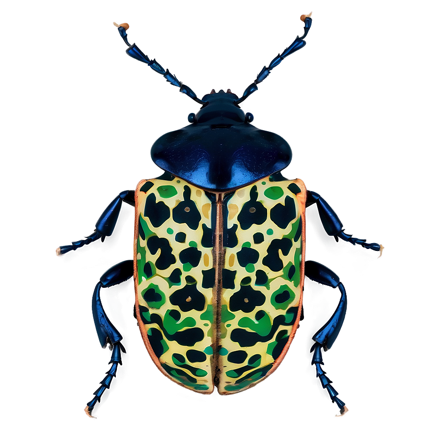 Beetle Camouflage Technique Png Bjl PNG