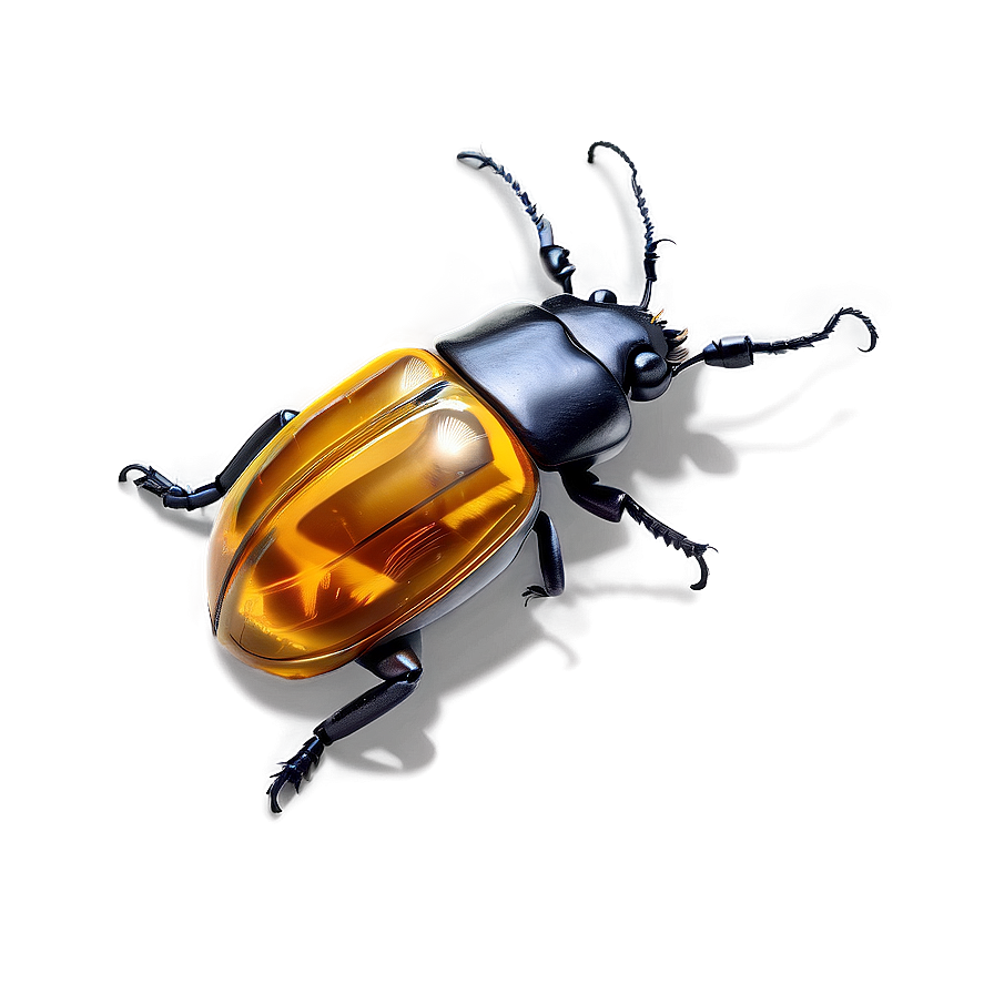 Beetle In Amber Png Qwf16 PNG