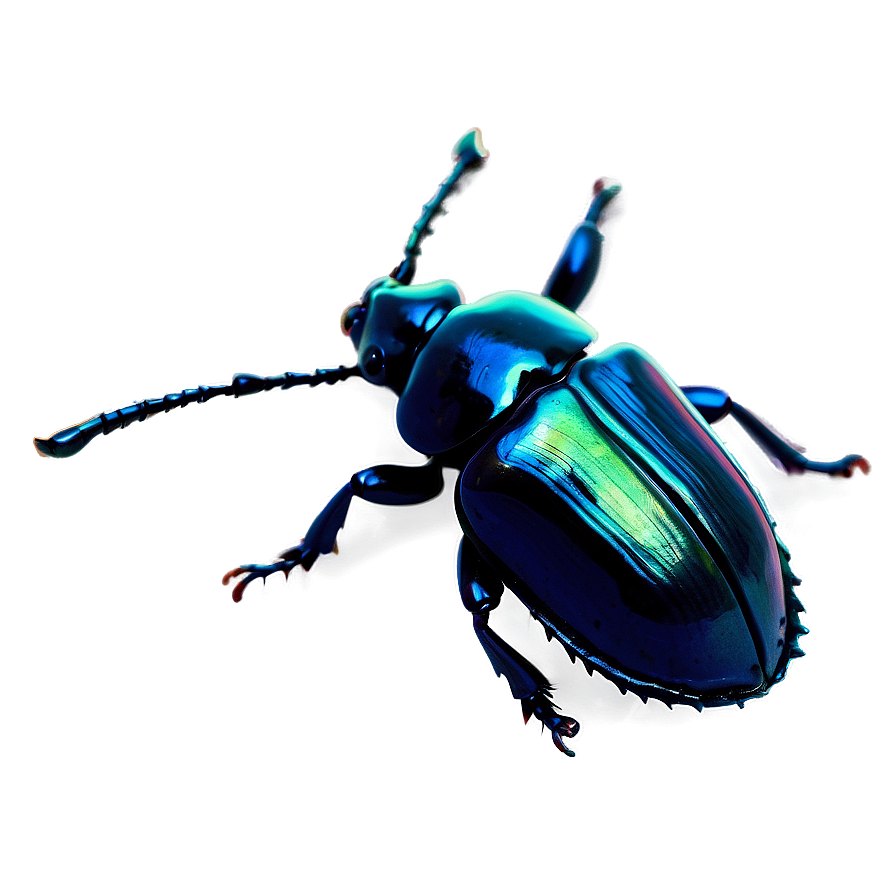 Beetle In Nature Background Png Hee PNG