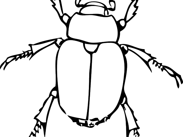 Beetle Silhouette Outline PNG