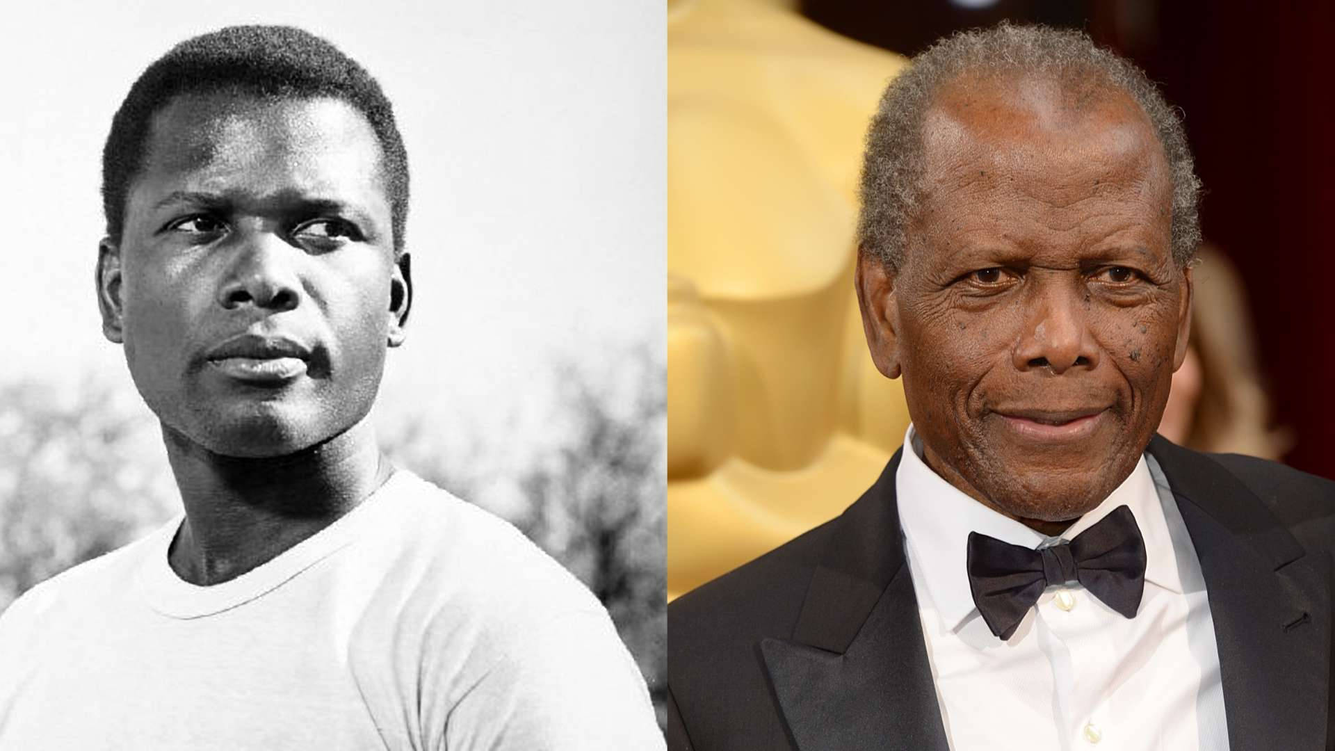 Before And After Photography Sidney Poitier Wallpaper