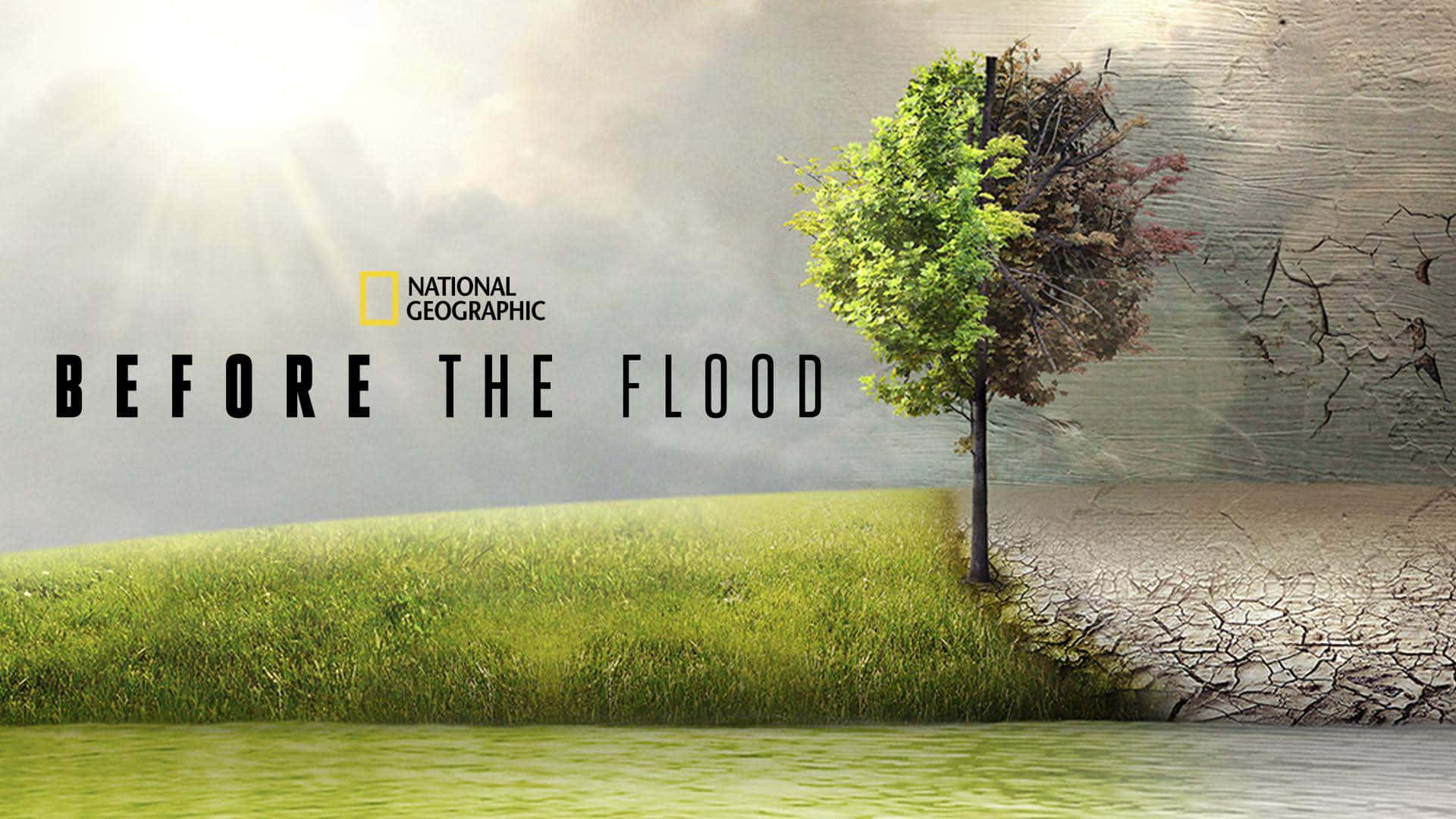 Før oversvømmelsen National Geographic Plakat 2016 Filmplakat Wallpaper