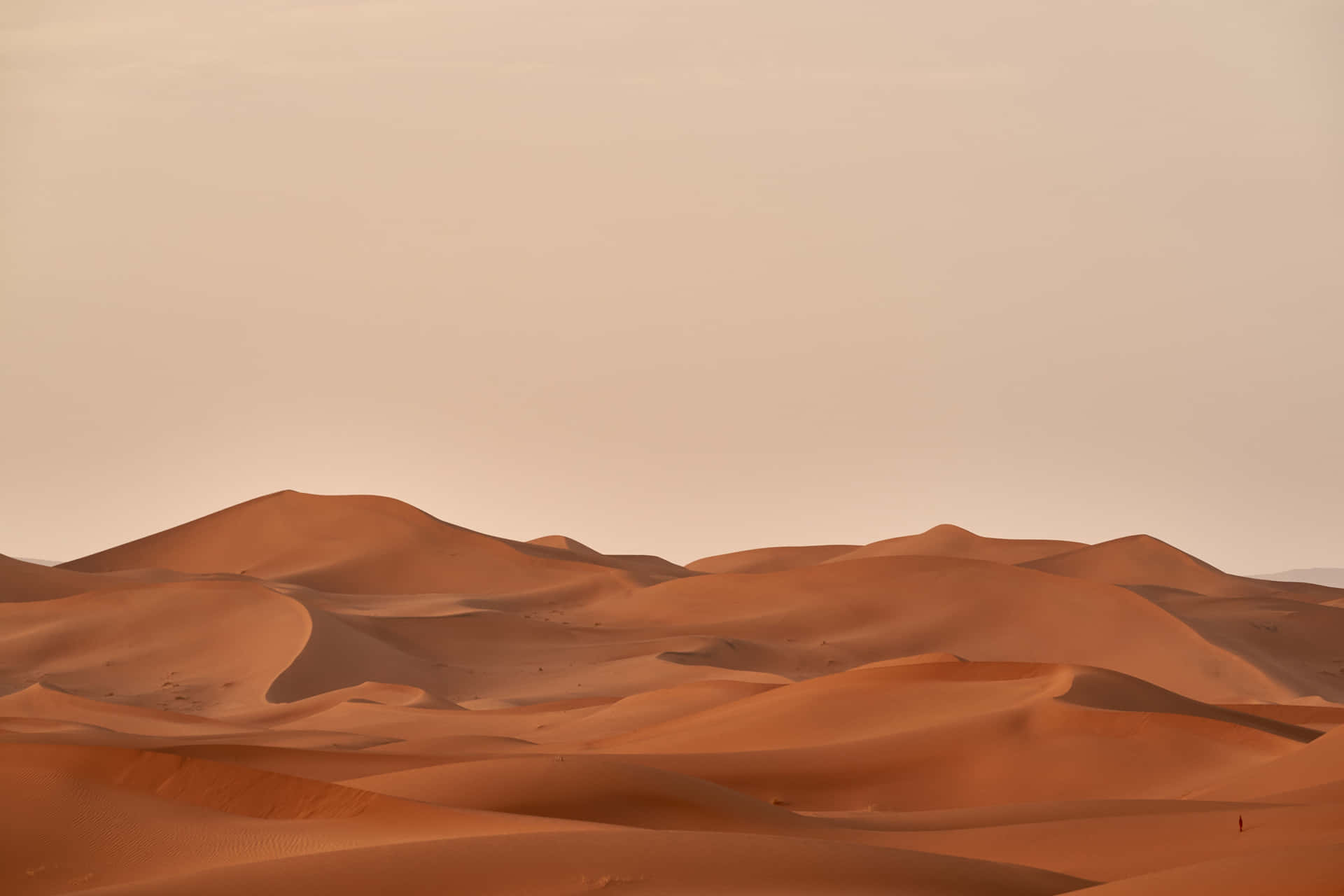 Enørkenlandskab Med Sandklitter Og En Sandstorm