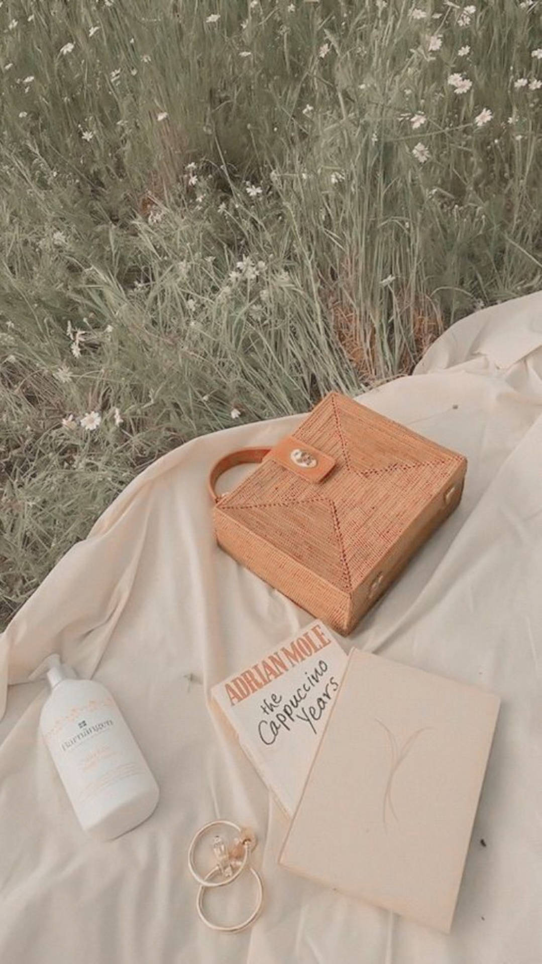 Beige Aesthetic Bag And Book Background