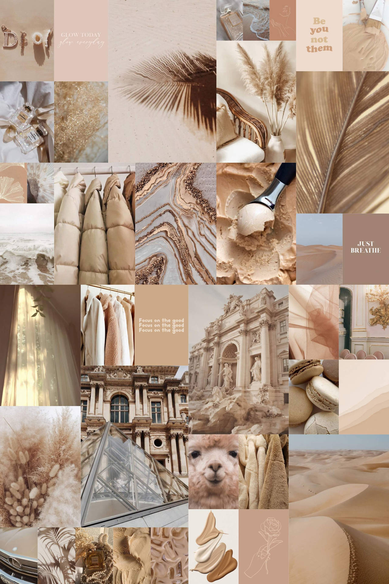 Beige Aesthetic Collage With Close-up Photos Wallpaper