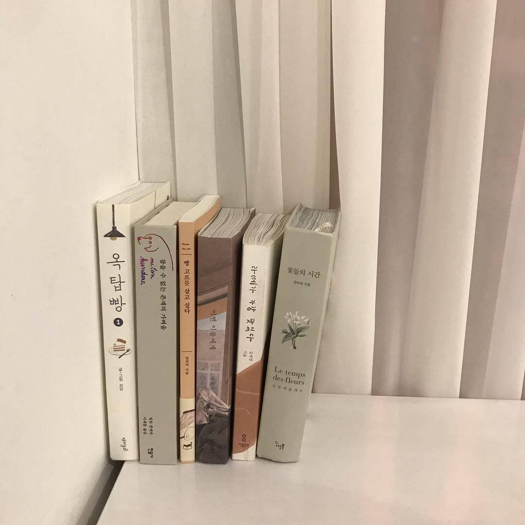 Beige Aesthetic Korean Books Wallpaper