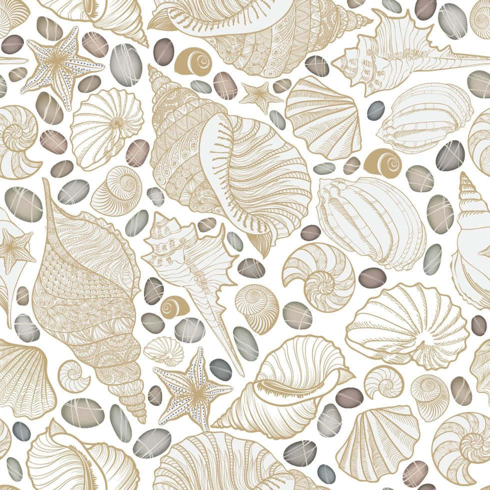 Beige Aesthetic Seashell Art Background
