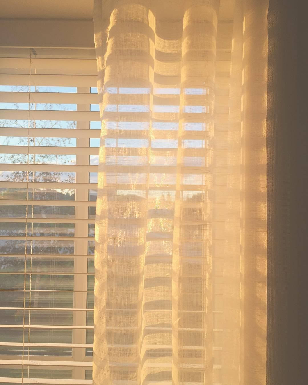 Beige Aesthetic Window With Sunlight Background