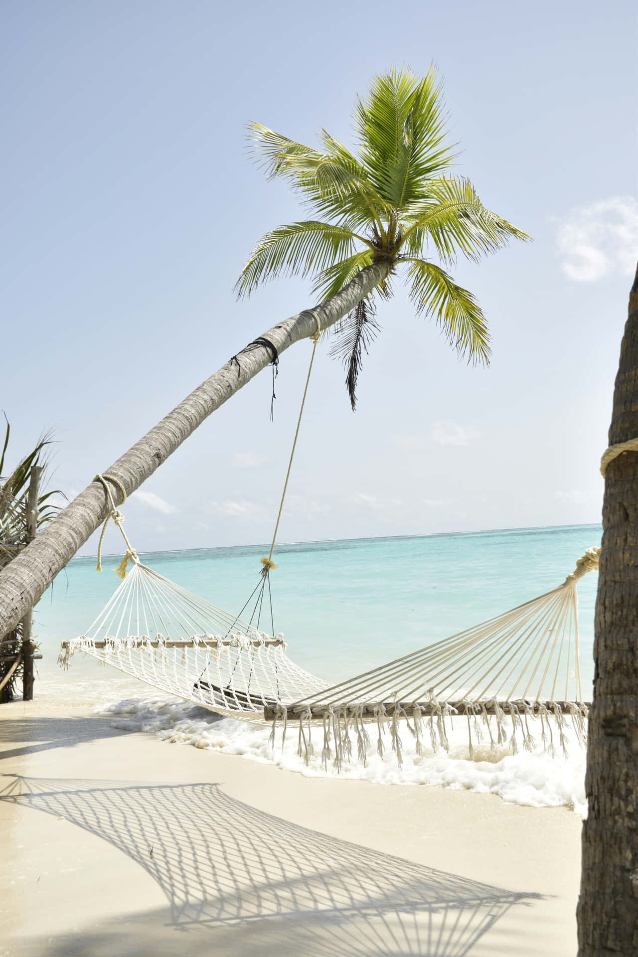 Hamac De Plage Beige Au Paradis Fond d'écran