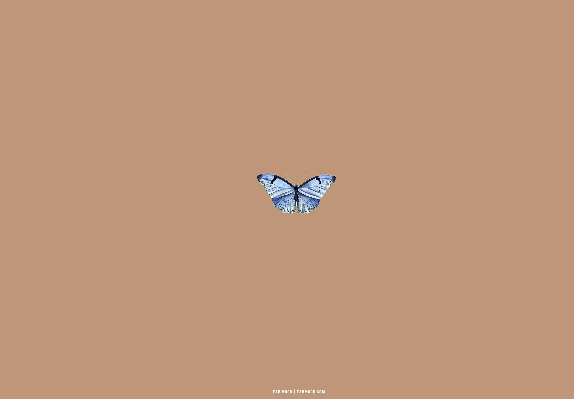 Beige Brown Aesthetic Blue Butterfly Wallpaper