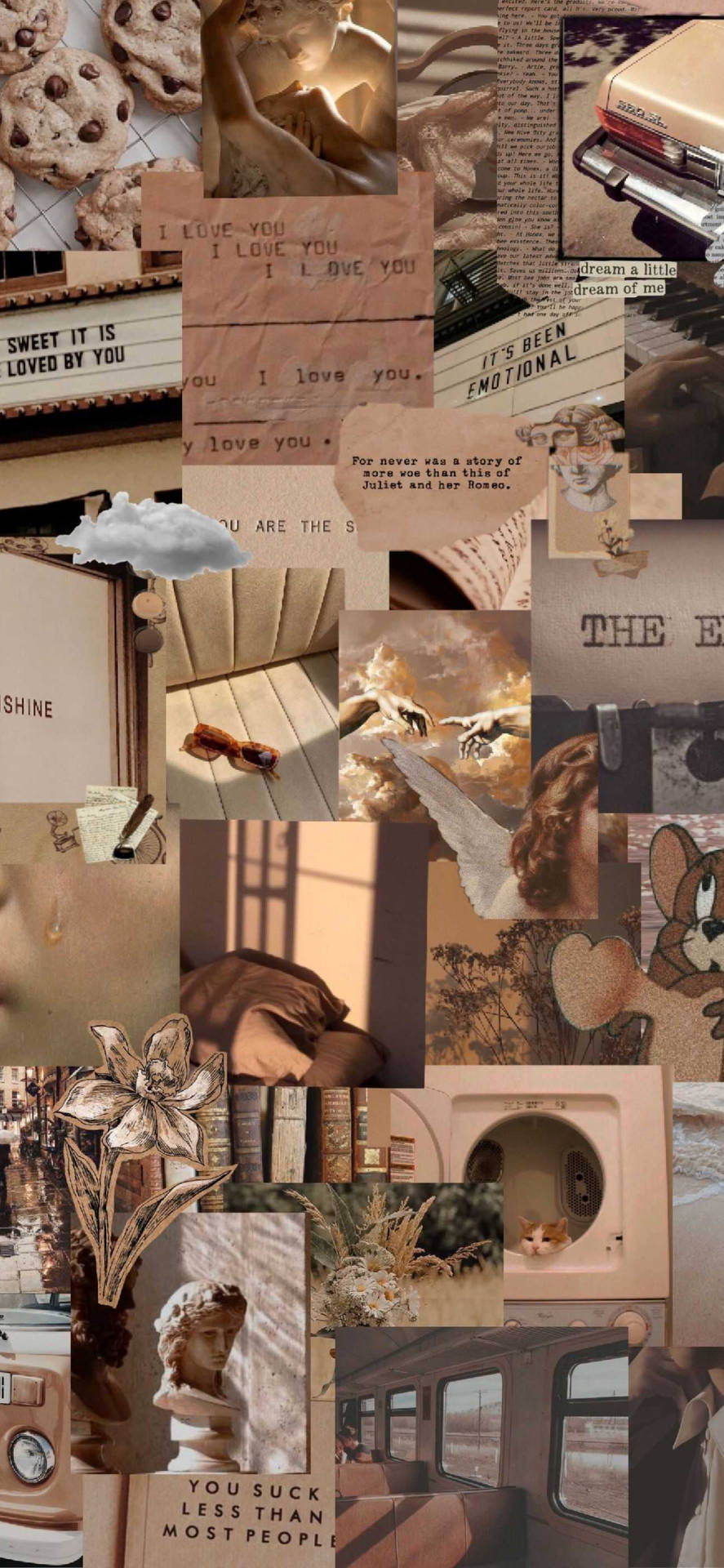 Beige Brown Aesthetic Collage Art Background