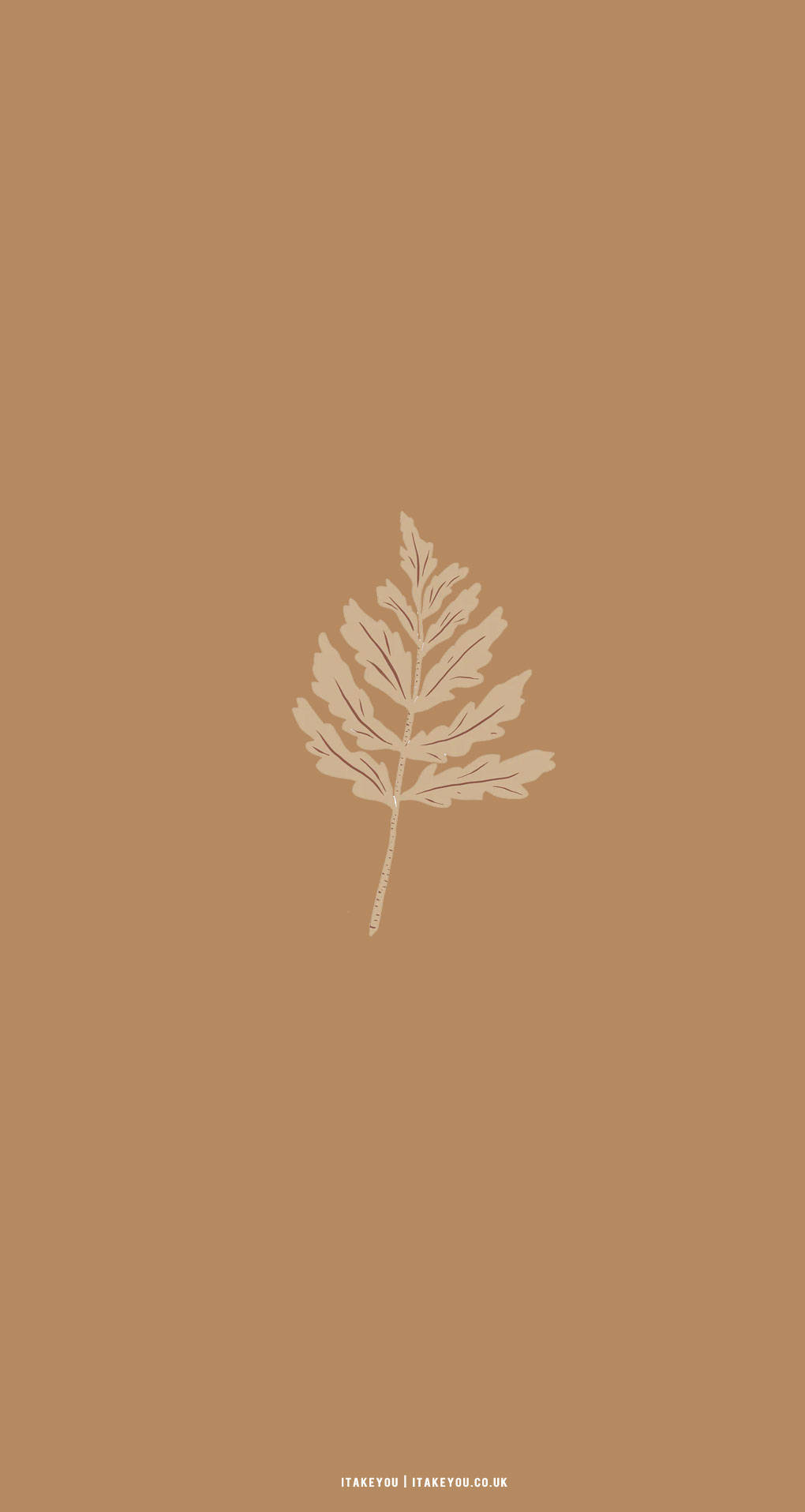 Beige Brown Aesthetic Maple Leaf Wallpaper