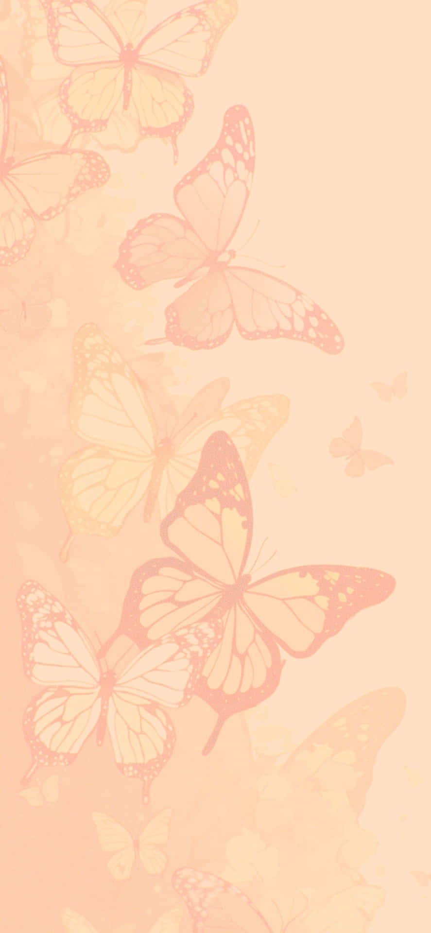 Beige Butterfly Aesthetic Wallpaper Wallpaper