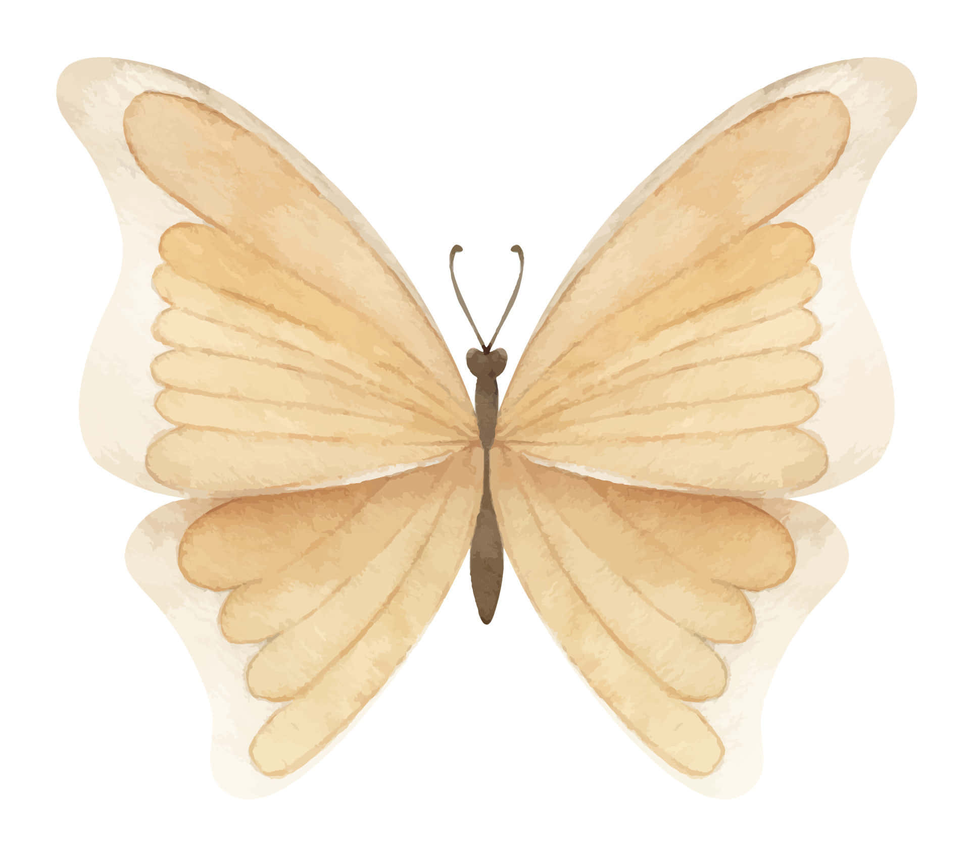 Beige Butterfly Illustration Wallpaper