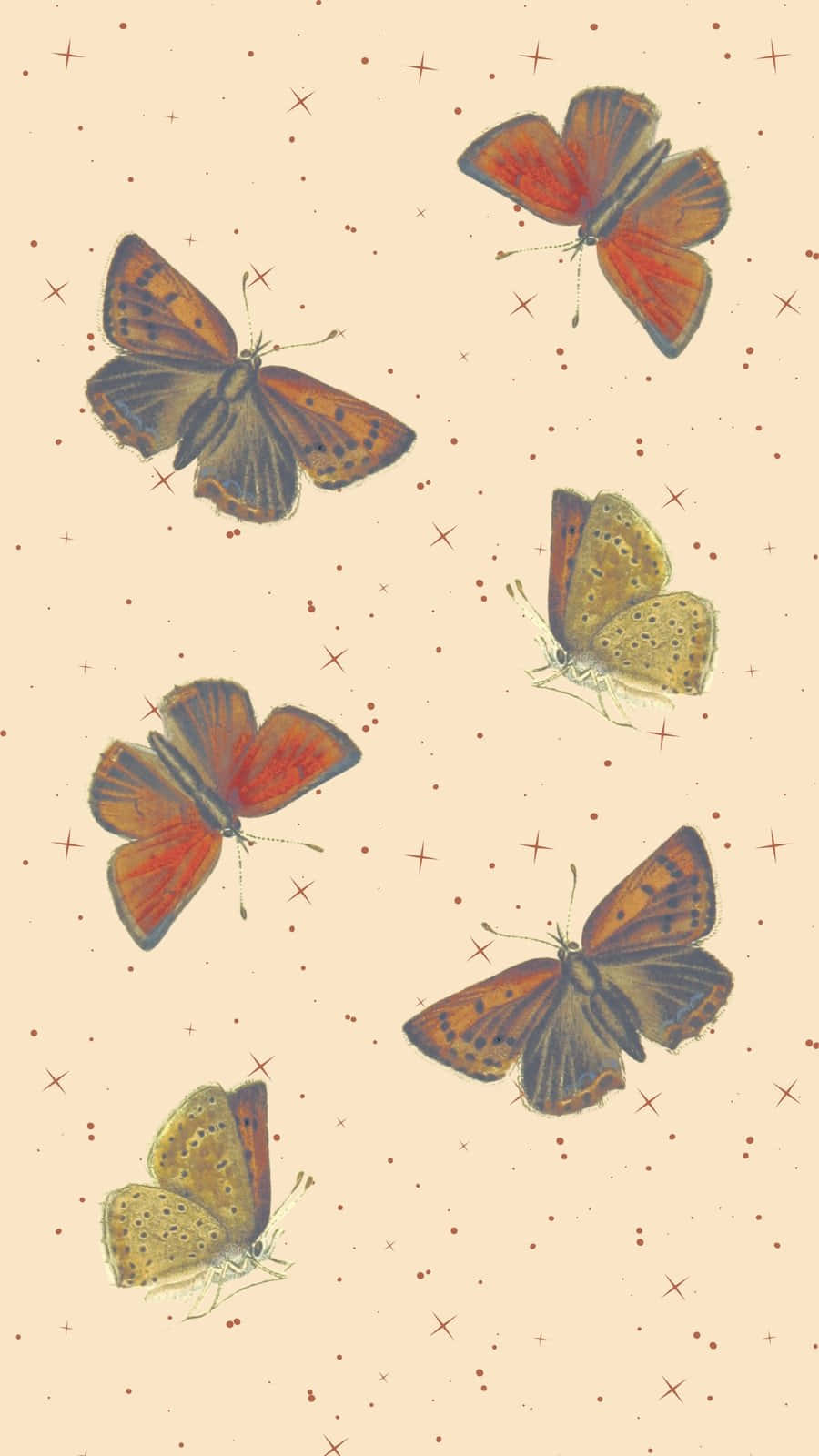 Beige Butterfly Pattern Aesthetic.jpg Wallpaper