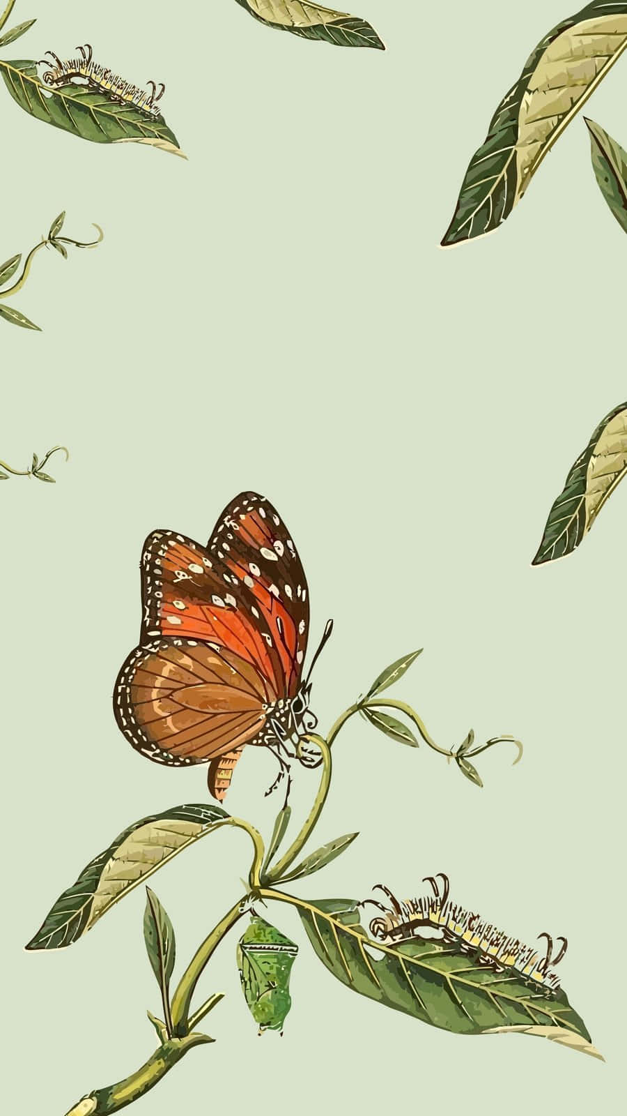 Beige Butterflyon Leafy Branch Wallpaper