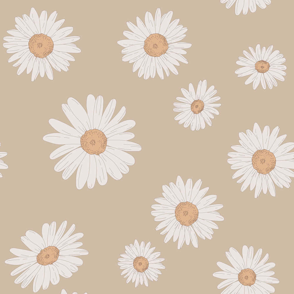 Beige Daisy Pattern Aesthetic Wallpaper