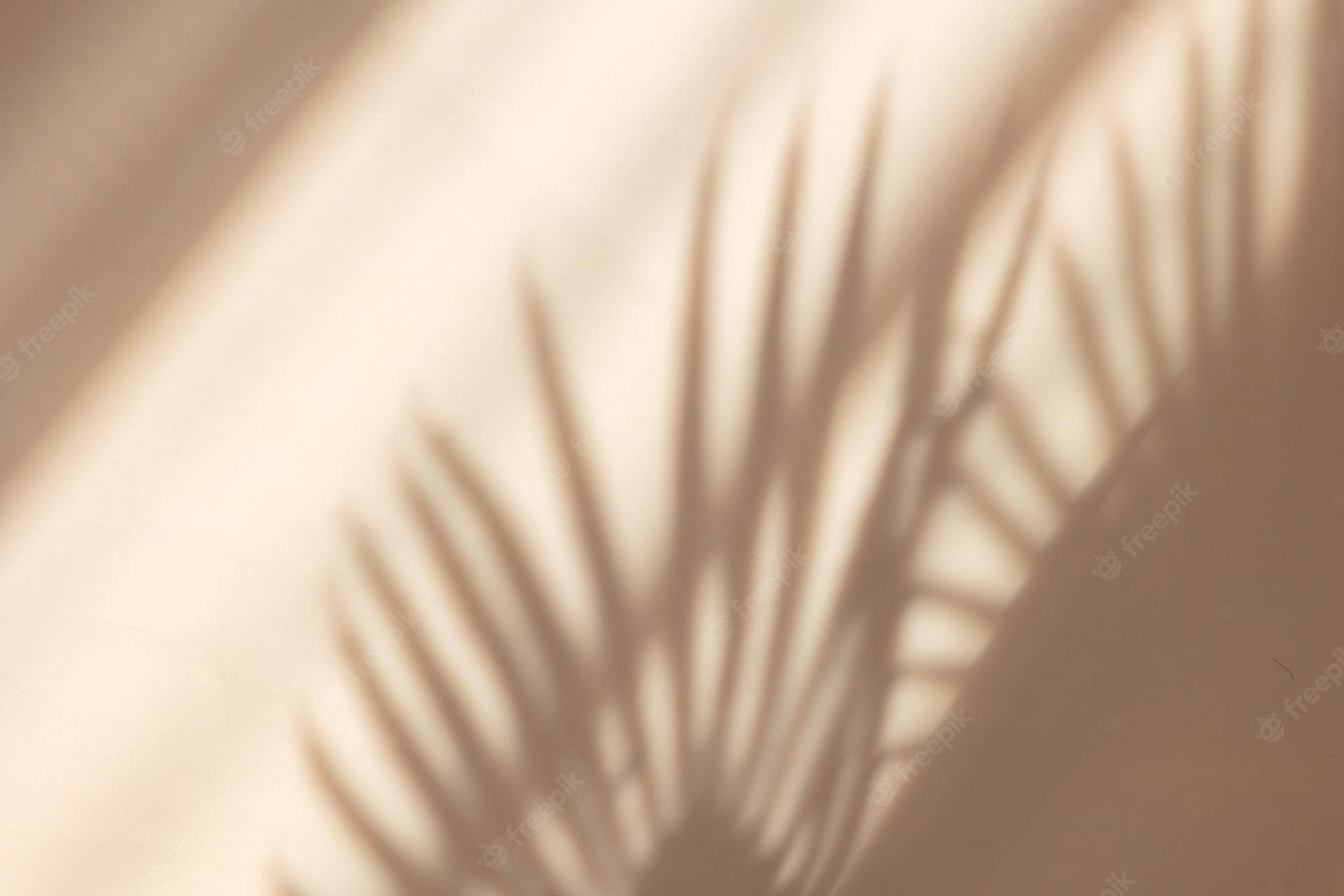 Schattenvon Palmenblättern An Einer Wand Wallpaper