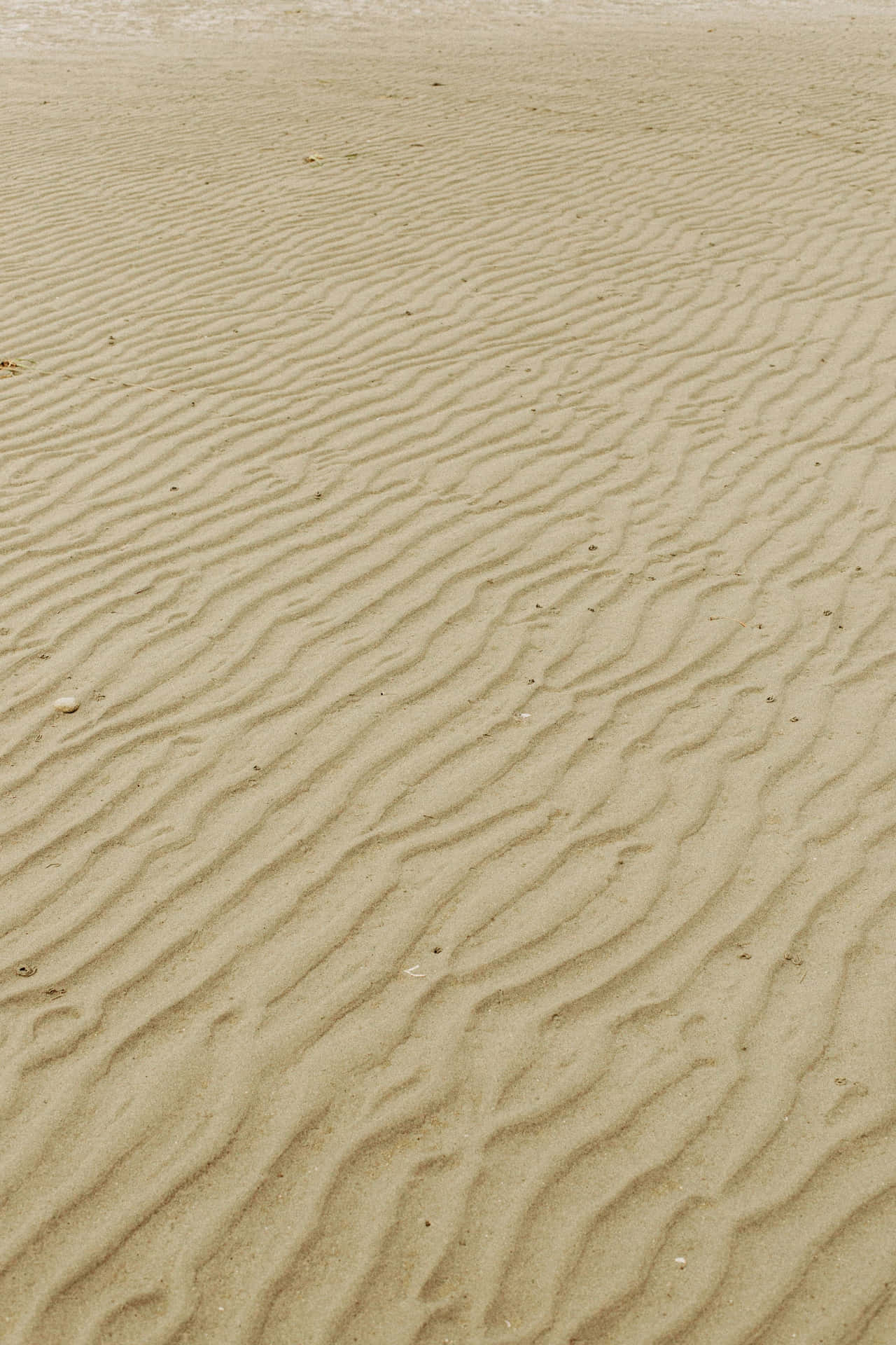 Beige Sand Ripples Beach Aesthetic.jpg Wallpaper