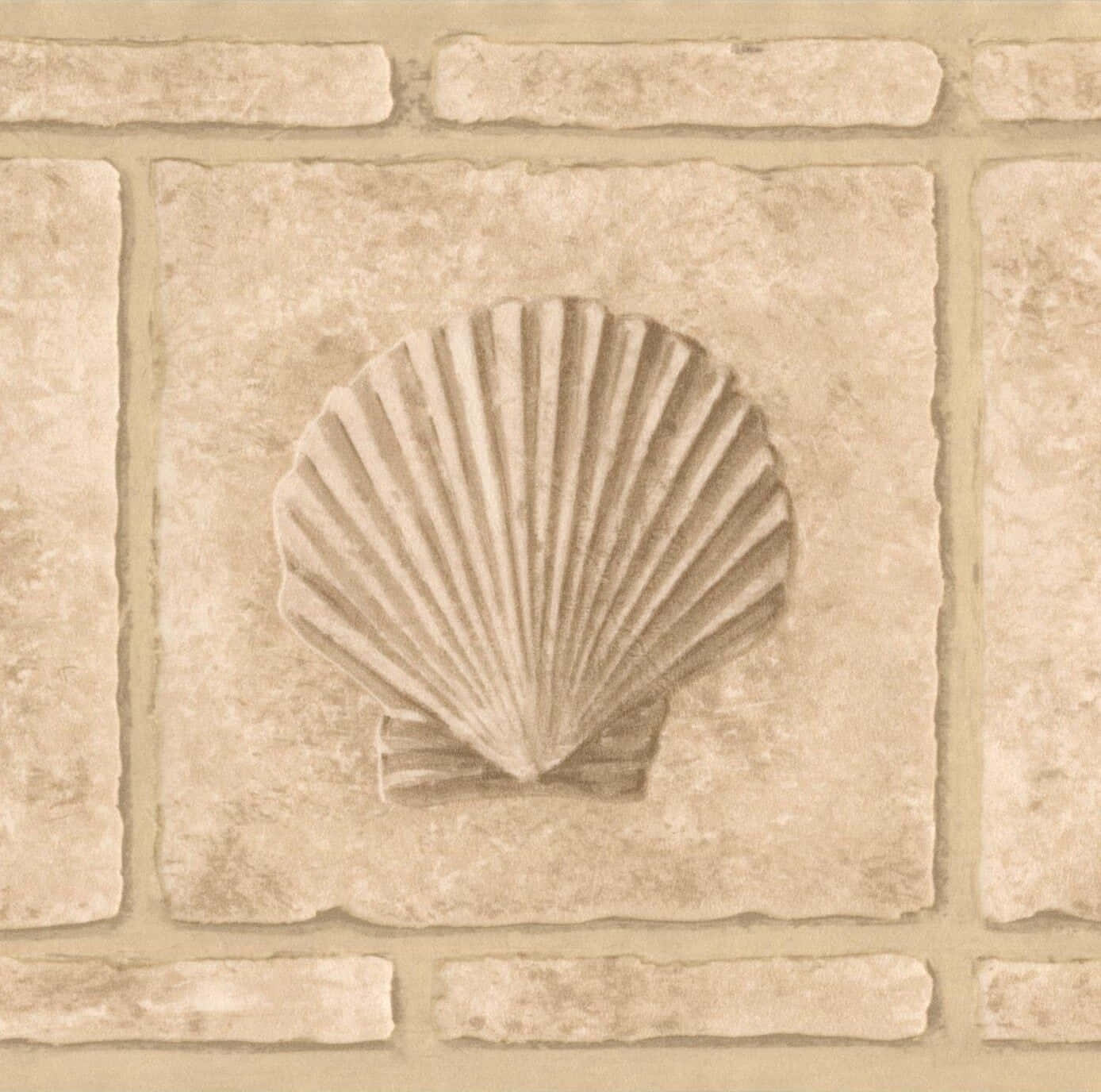 Beige Seashell Wall Decor Background